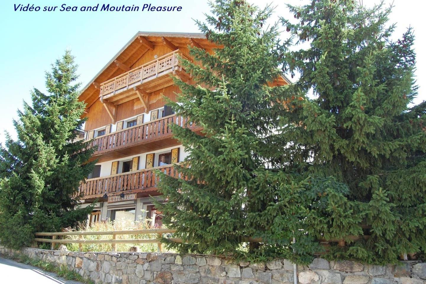 Chalet Alpe D'Huez 1850-Sea And Mountain Pleasure Avec 2 Appartements- 1 Appartement 3 Chambres 8 Couchages - 3 Salles D'Eau Et 1 Appartement 5 Chambres 12 Couchages 5 Salles D'Eau - Jacuzzi Et Sauna -Pieds Des Pistes Et Centre Екстериор снимка