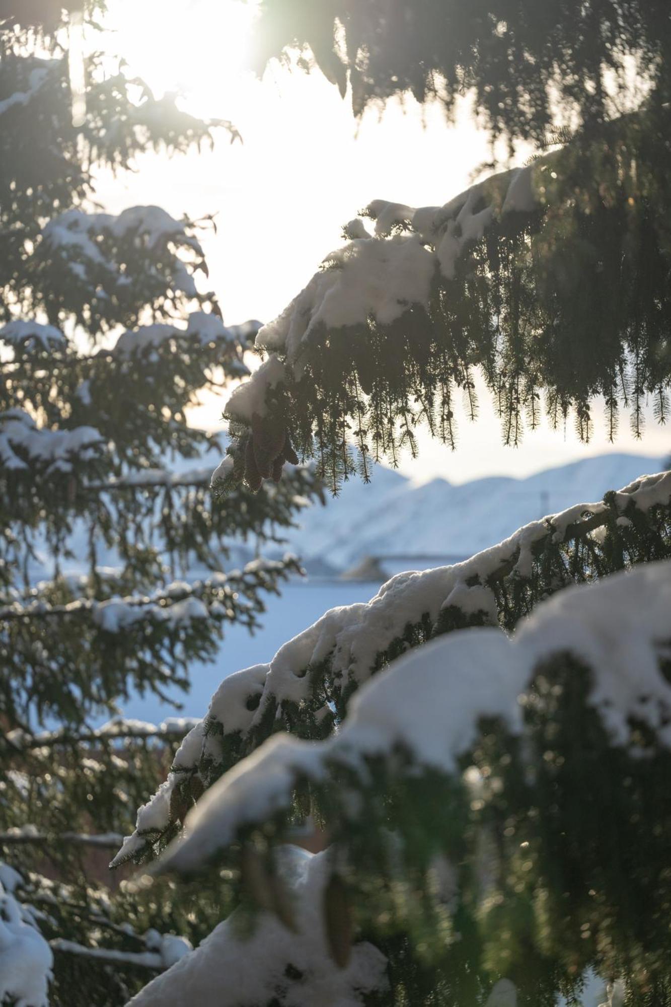 Chalet Alpe D'Huez 1850-Sea And Mountain Pleasure Avec 2 Appartements- 1 Appartement 3 Chambres 8 Couchages - 3 Salles D'Eau Et 1 Appartement 5 Chambres 12 Couchages 5 Salles D'Eau - Jacuzzi Et Sauna -Pieds Des Pistes Et Centre Екстериор снимка