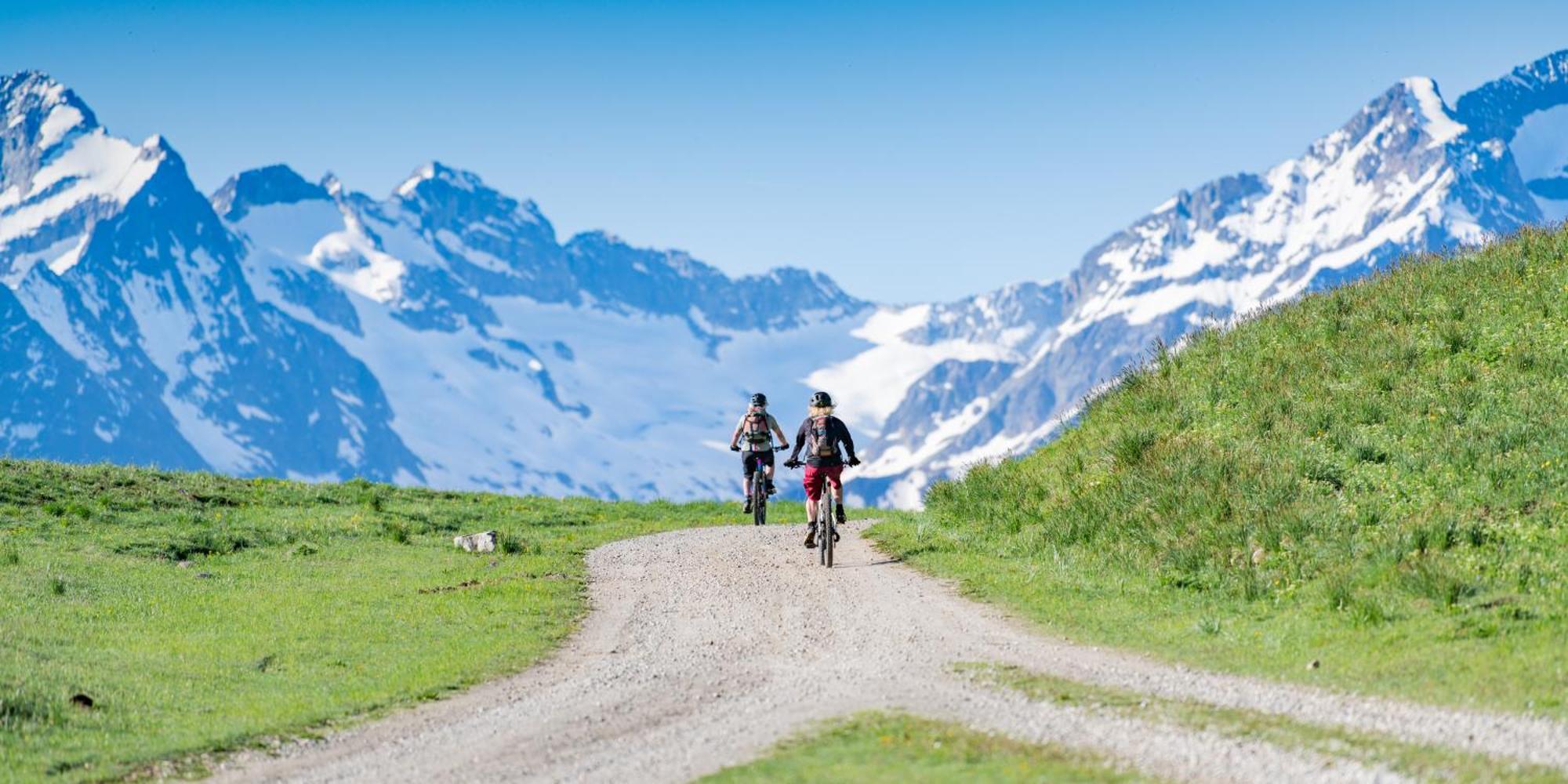 Chalet Alpe D'Huez 1850-Sea And Mountain Pleasure Avec 2 Appartements- 1 Appartement 3 Chambres 8 Couchages - 3 Salles D'Eau Et 1 Appartement 5 Chambres 12 Couchages 5 Salles D'Eau - Jacuzzi Et Sauna -Pieds Des Pistes Et Centre Екстериор снимка